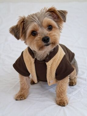 NWT-Star Wars EWOK Fleece Dog Vest /Costume- Small